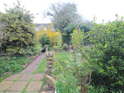 Picture 14